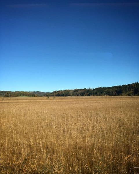 Photo 1 from Ravi Atluri's collection