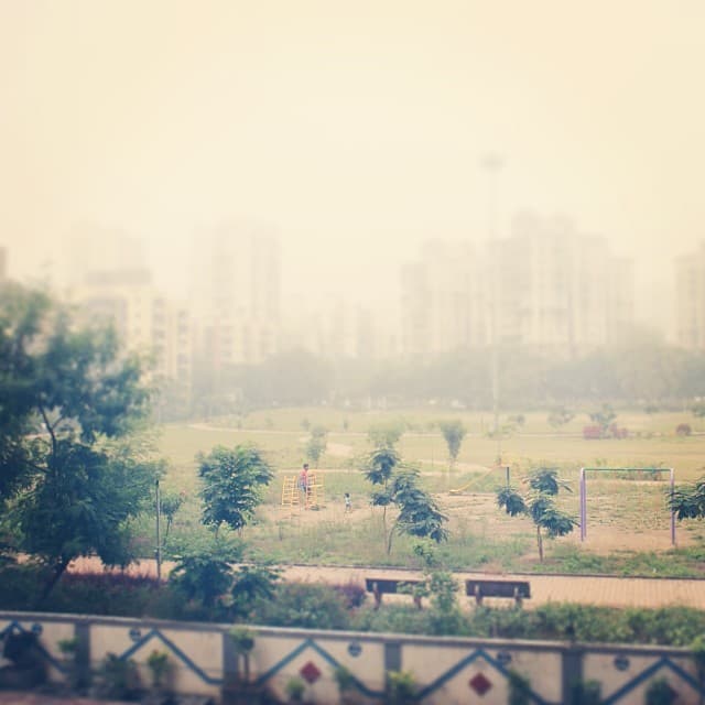 The early morning fogs have started showing up.