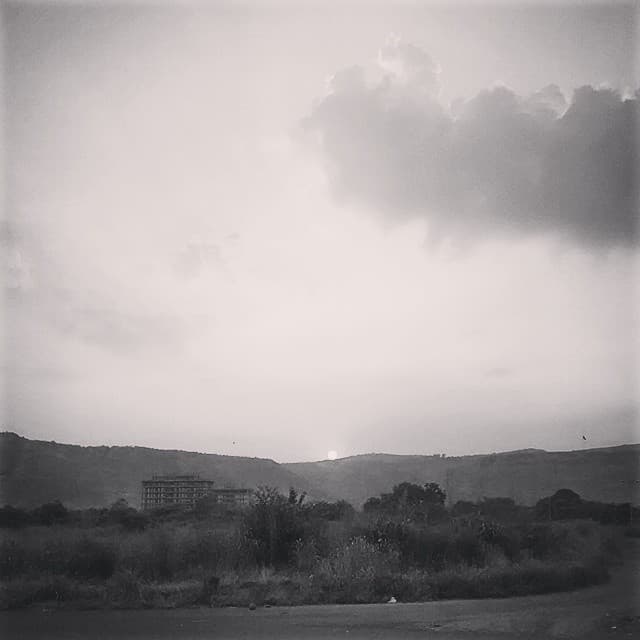 Seen during an evening run.