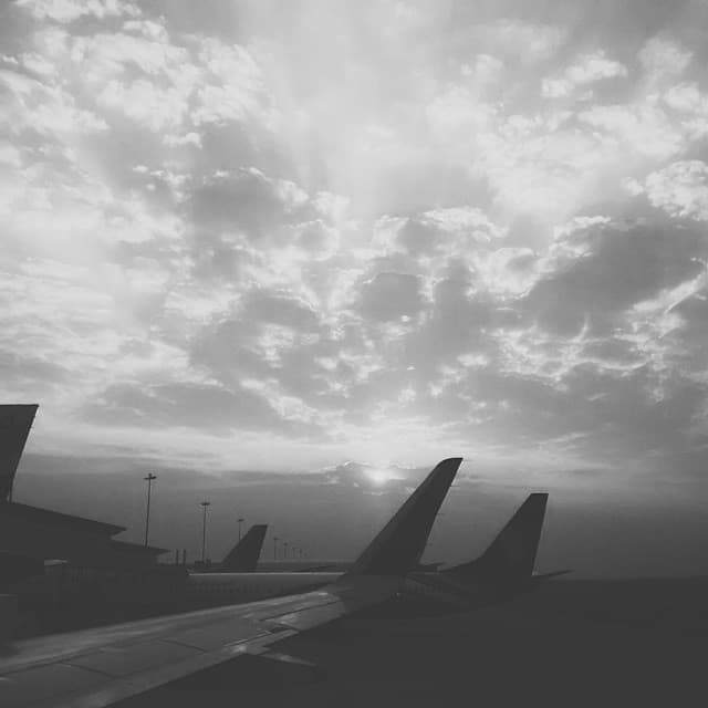 Puffs. Powder Puffs.