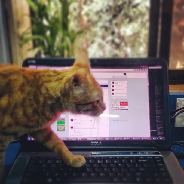 Little guy also wants to do beta testing. (at Pagalguy.com)